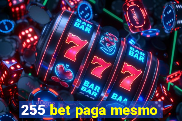 255 bet paga mesmo